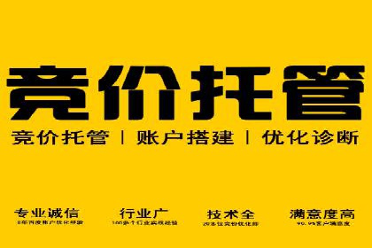 案例研究：如何通过竞价广告实现精准营销
